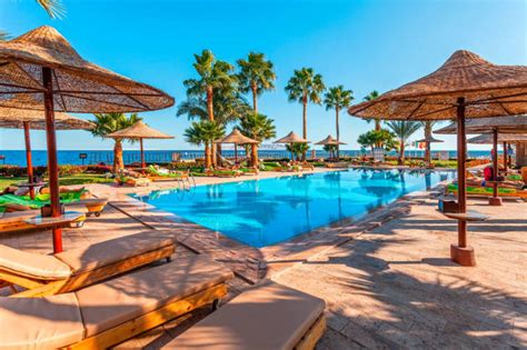 bravo premium tamra beach|tamra beach bravo.